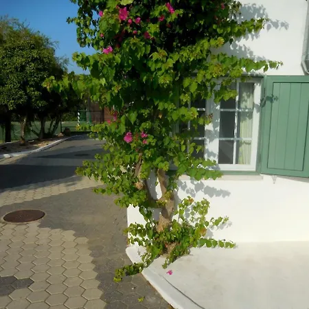 Holiday home Quinta Do Penedo - By Portugalferias